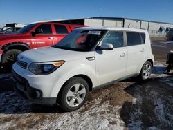 Salvage cars for sale at Brighton, CO auction: 2019 KIA Soul