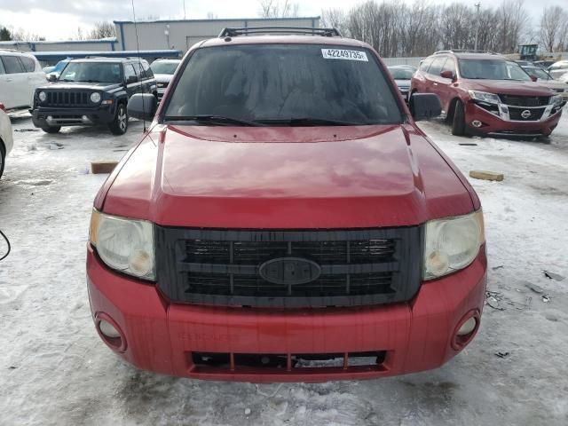 2008 Ford Escape XLT