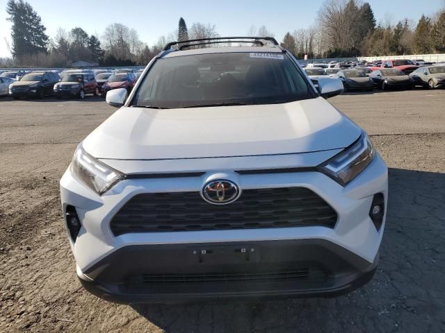 2024 Toyota Rav4 XLE Premium