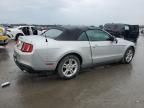 2010 Ford Mustang