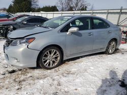 Lexus hs Vehiculos salvage en venta: 2010 Lexus HS 250H