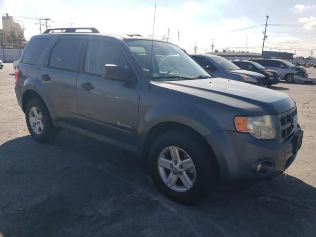 2011 Ford Escape Hybrid