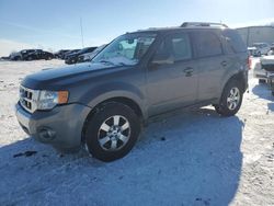 Salvage cars for sale at Wayland, MI auction: 2011 Ford Escape Limited