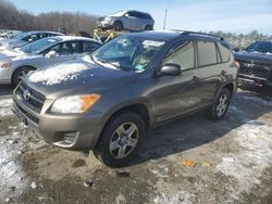 Salvage cars for sale at Windsor, NJ auction: 2010 Toyota Rav4