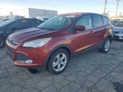 2014 Ford Escape SE en venta en Chicago Heights, IL