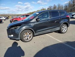 Ford Vehiculos salvage en venta: 2013 Ford Escape SEL