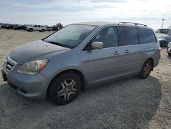 Salvage cars for sale at Antelope, CA auction: 2007 Honda Odyssey EXL