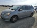 2007 Honda Odyssey EXL