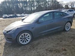 Tesla Model 3 salvage cars for sale: 2023 Tesla Model 3