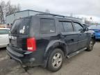 2011 Honda Pilot EXL