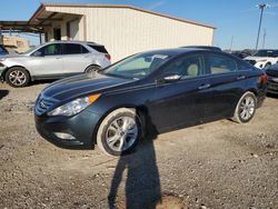 Salvage cars for sale at auction: 2013 Hyundai Sonata SE