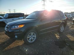 Salvage cars for sale at Elgin, IL auction: 2010 Hyundai Santa FE Limited