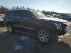 2015 Cadillac Escalade Premium