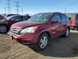 Salvage cars for sale at Elgin, IL auction: 2011 Honda CR-V EXL