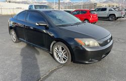 Scion salvage cars for sale: 2010 Scion TC