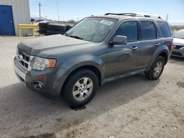 2011 Ford Escape Limited