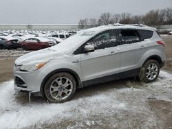 SUV salvage a la venta en subasta: 2013 Ford Escape SEL