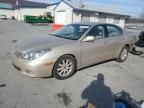 2003 Lexus ES 300