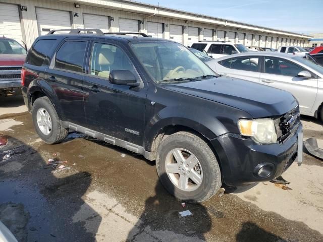 2008 Ford Escape Limited