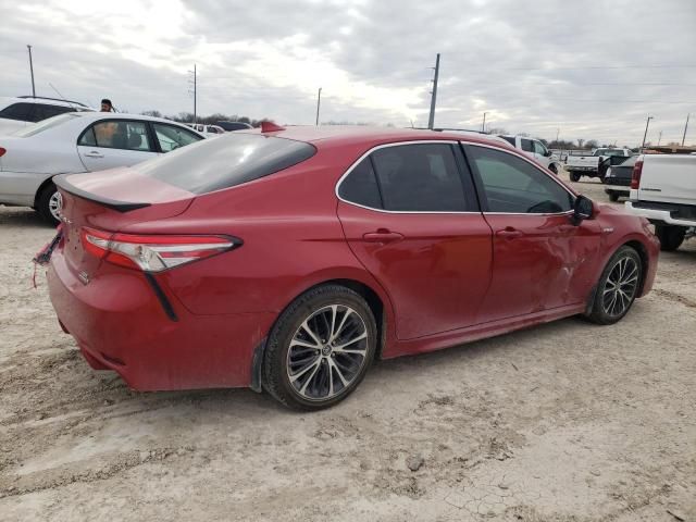 2019 Toyota Camry Hybrid