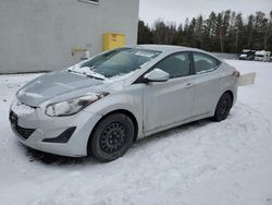 Salvage cars for sale from Copart Cookstown, ON: 2014 Hyundai Elantra SE