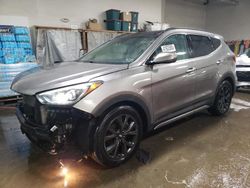 Carros salvage a la venta en subasta: 2017 Hyundai Santa FE Sport