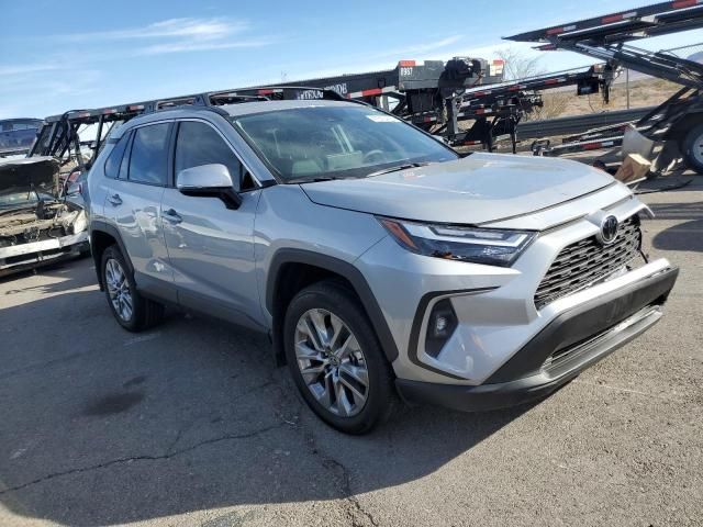 2024 Toyota Rav4 XLE Premium