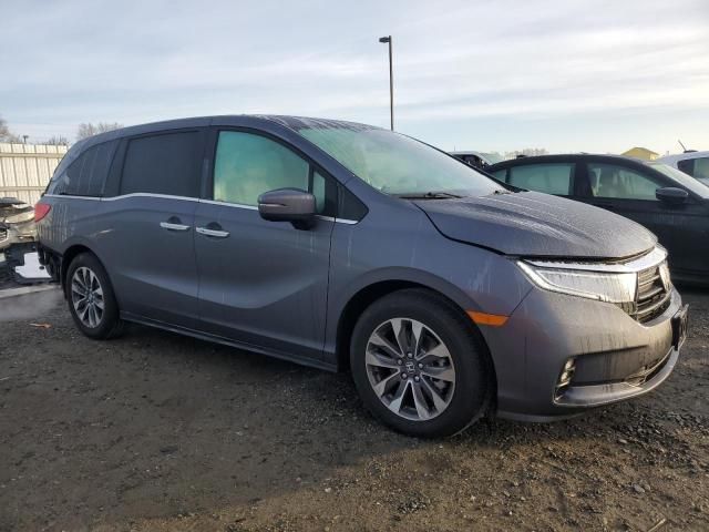 2023 Honda Odyssey EXL