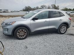 Carros salvage a la venta en subasta: 2022 Ford Escape SE