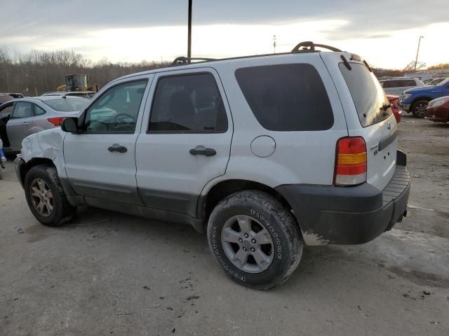 2007 Ford Escape XLT