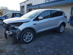 2019 Ford Escape SE en venta en Mcfarland, WI