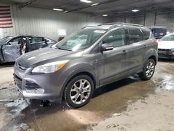 Salvage cars for sale at Franklin, WI auction: 2013 Ford Escape SEL