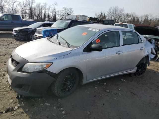 2010 Toyota Corolla Base