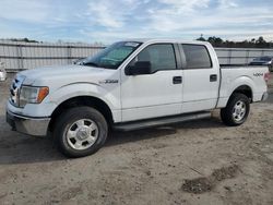 Ford f150 Supercrew Vehiculos salvage en venta: 2010 Ford F150 Supercrew