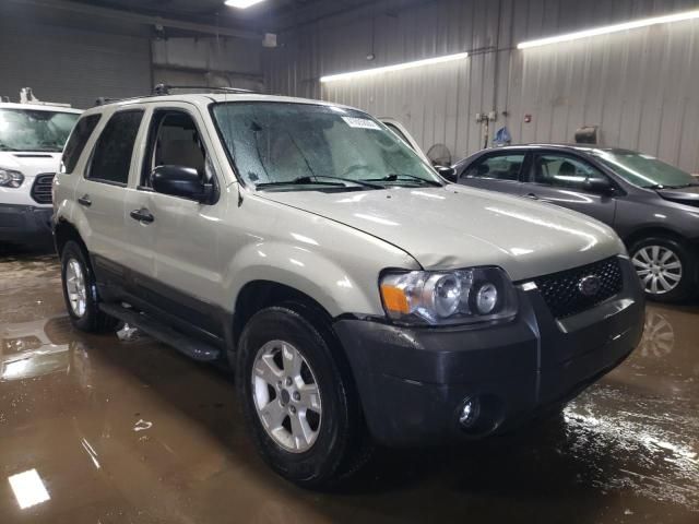 2006 Ford Escape XLT