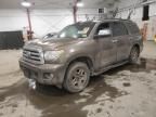 2012 Toyota Sequoia Platinum