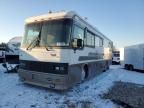 1993 Mnac 1993 Roadmaster Rail Dyanaster