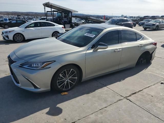 2023 Lexus ES 350 Base