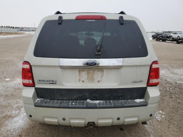 2009 Ford Escape Limited