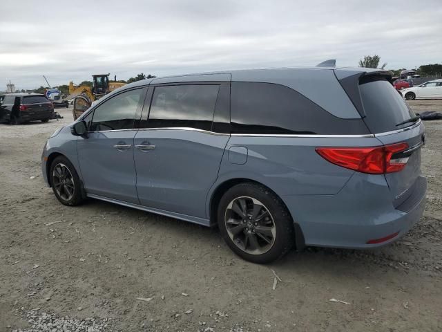 2024 Honda Odyssey Elite