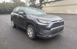 Toyota Vehiculos salvage en venta: 2019 Toyota Rav4 LE