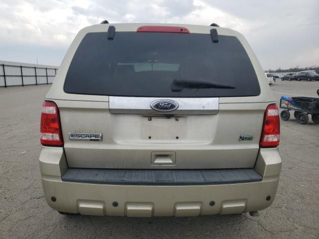 2010 Ford Escape Limited