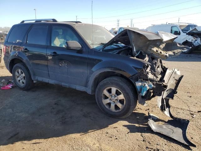 2009 Ford Escape Limited