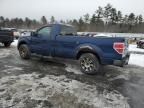 2009 Ford F150