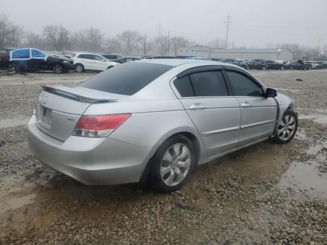 2008 Honda Accord EXL