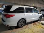 2023 Honda Odyssey EXL