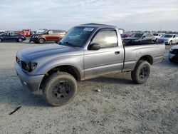 Toyota salvage cars for sale: 1995 Toyota Tacoma