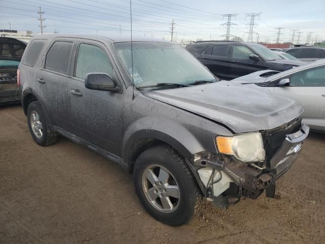 2011 Ford Escape XLS