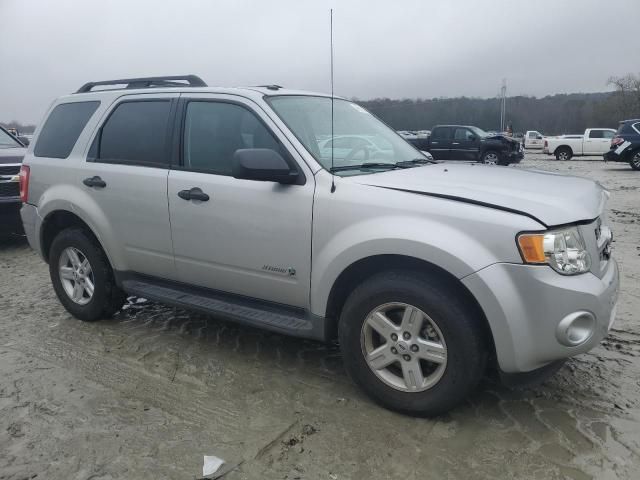 2009 Ford Escape Hybrid