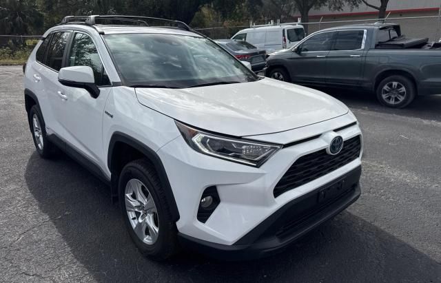 2020 Toyota Rav4 XLE